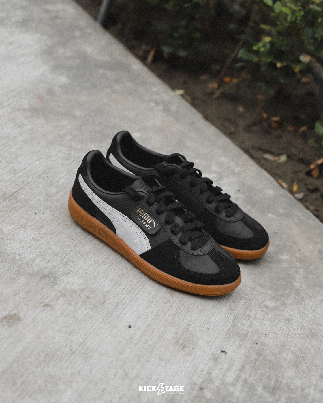 男女鞋 PUMA Palermo Lth 黑色 Rosé朴彩英代言同款 麂皮 膠底 復古 德訓鞋【396464-03】