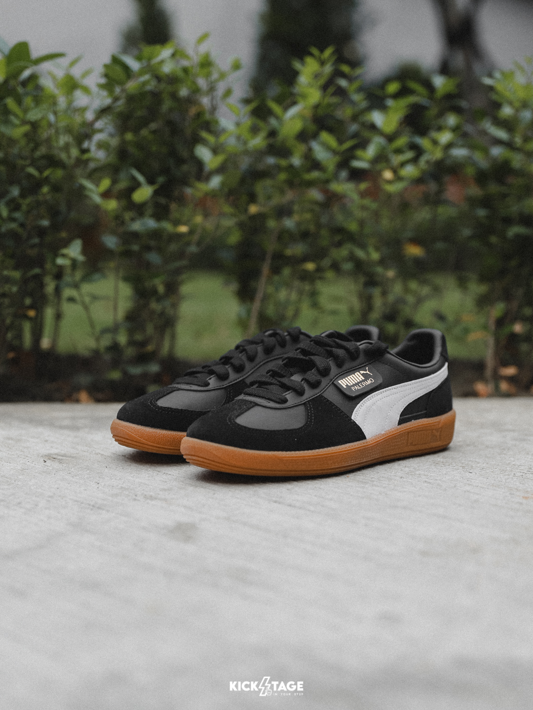 男女鞋 PUMA Palermo Lth 黑色 Rosé朴彩英代言同款 麂皮 膠底 復古 德訓鞋【396464-03】