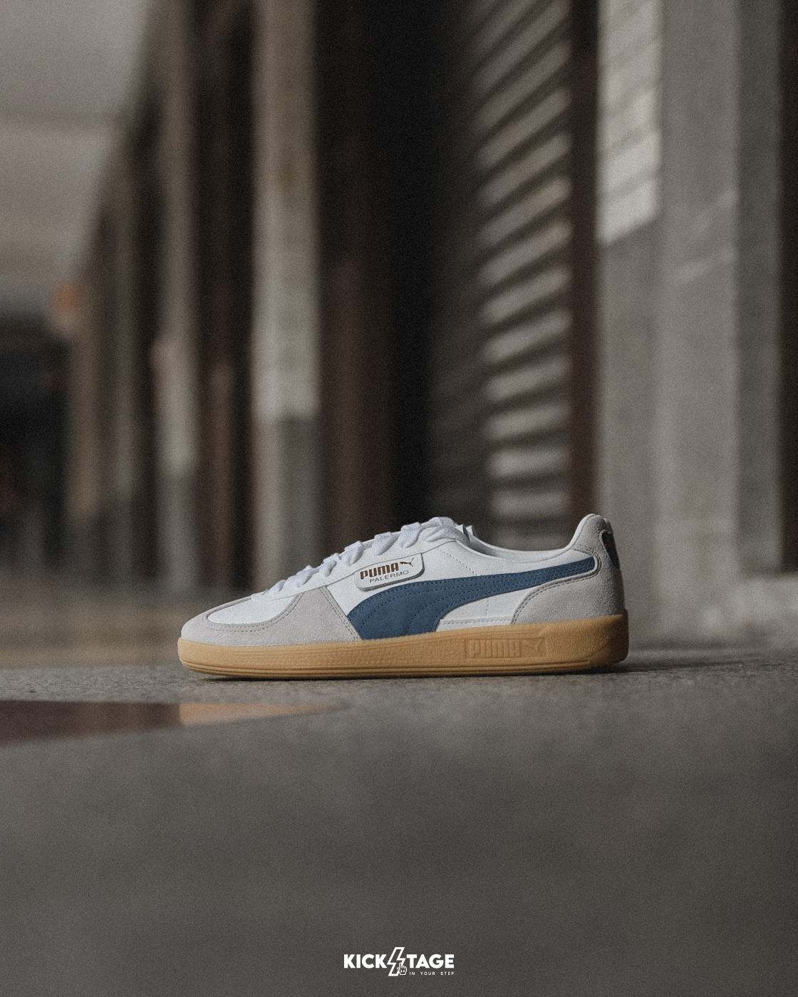 男女鞋 PUMA Palermo Lth 白藍 Rosé朴彩英代言同款 瘦子同款 麂皮 膠底 復古 德訓鞋【396464-14】