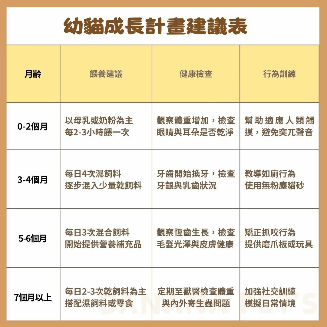 芭娜娜毛孩良品建議幼貓成長計畫表