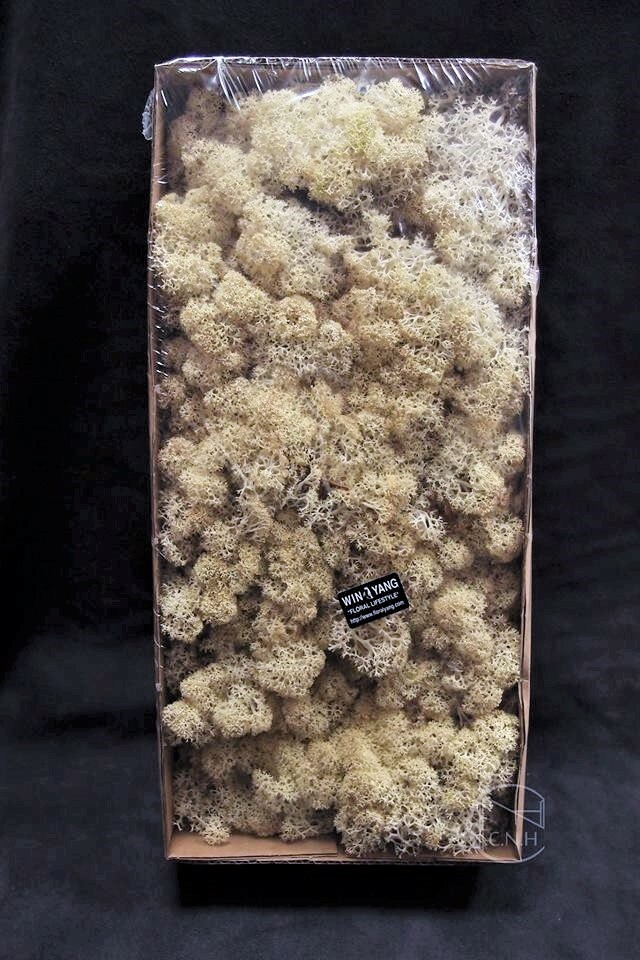 馴鹿水草 156原色