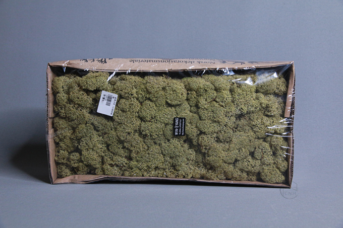 馴鹿水草 164稻草綠