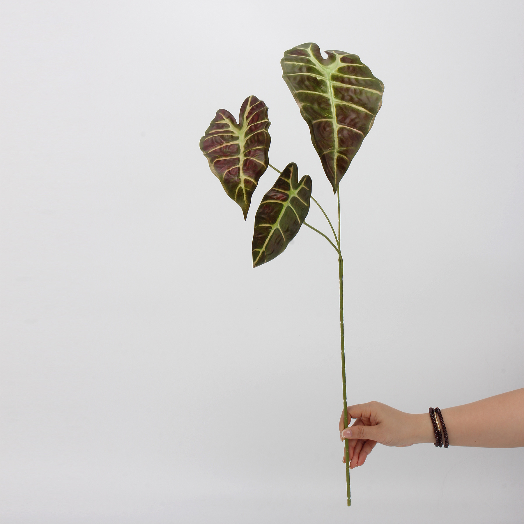 仿真觀音葉類 (海芋葉類)