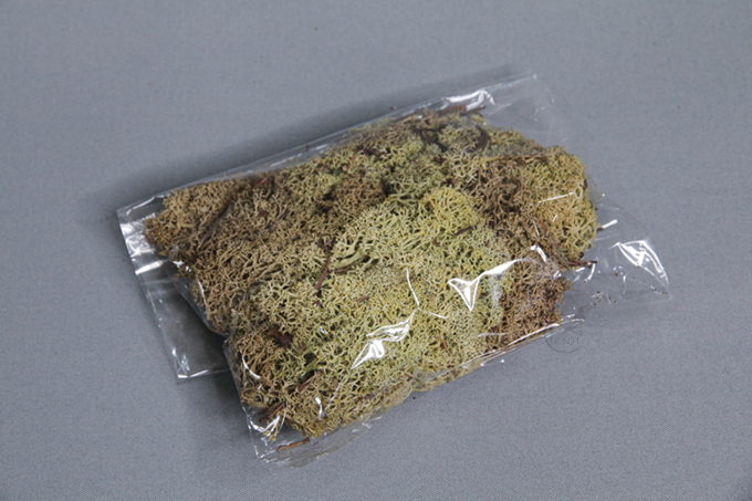 馴鹿水草 164稻草綠 40g