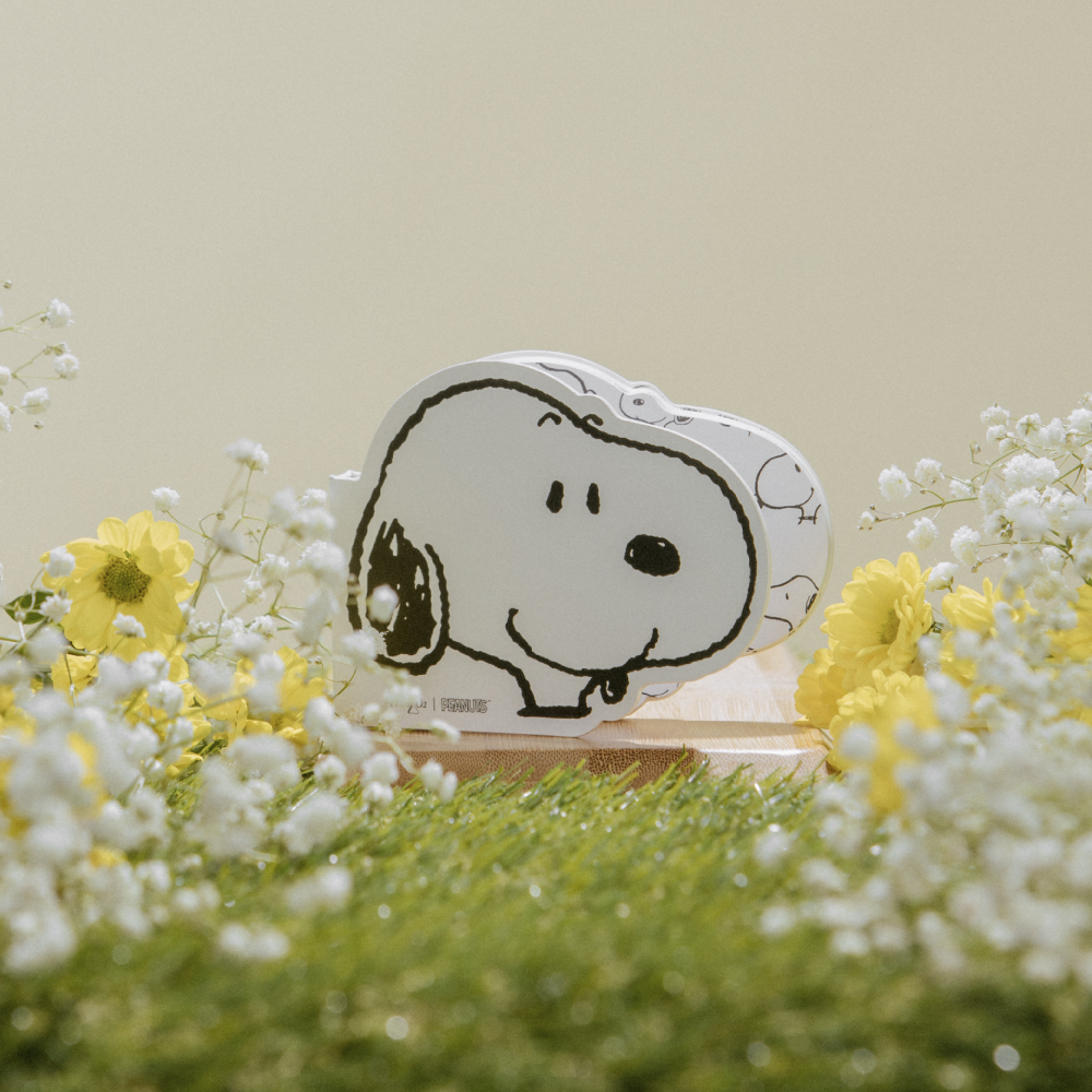 Snoopy Pressed Powder