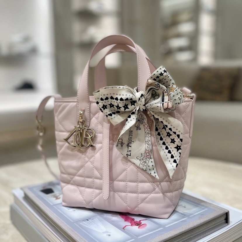 【5色入】Dior 小碼 Dior Toujours 直向手挽袋