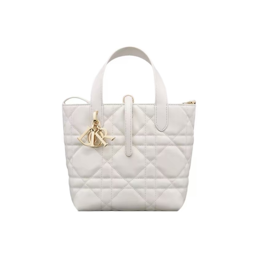 【5色入】Dior 小碼 Dior Toujours 直向手挽袋