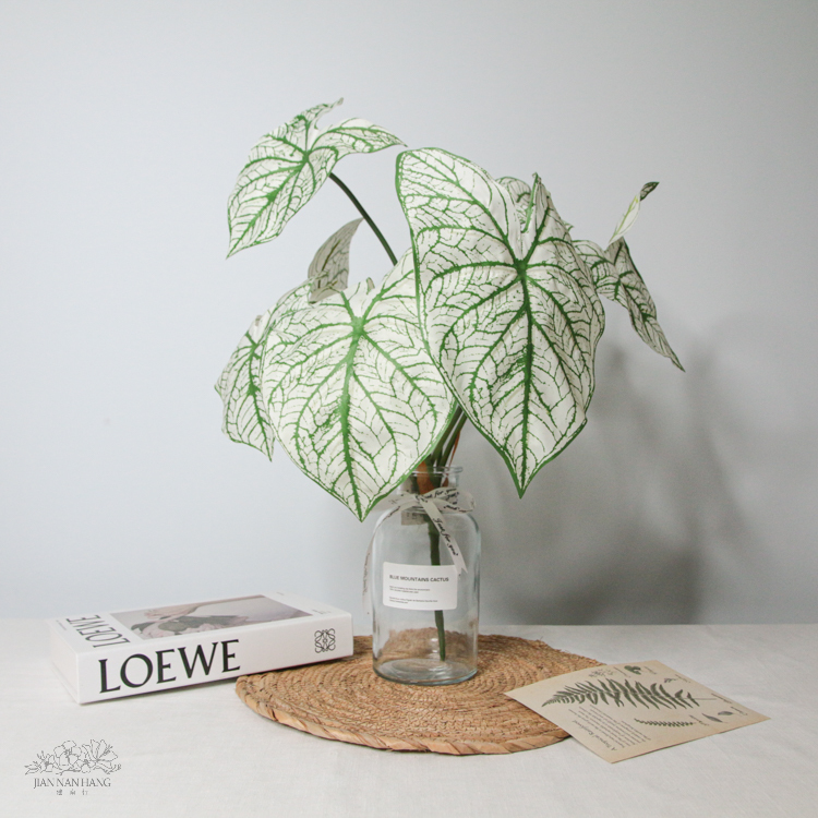 人造葉 彩葉芋 綠