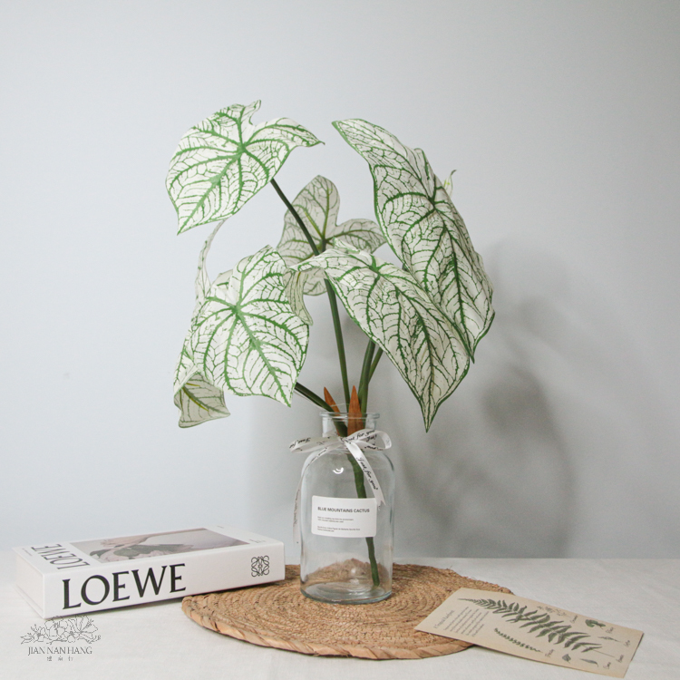 人造葉 彩葉芋 綠