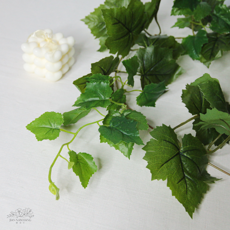 人造葉/新葡萄葉藤