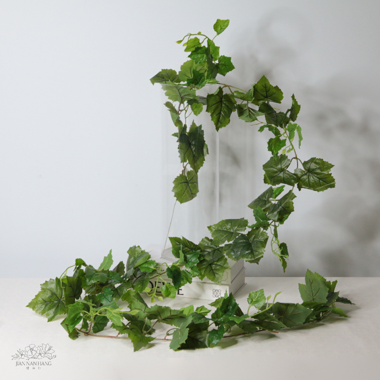 人造葉/新葡萄葉藤