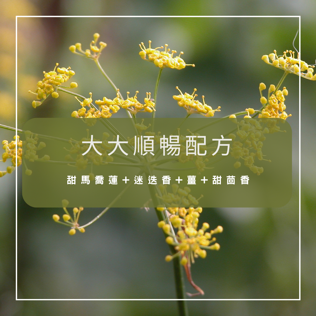 【大大順暢】複方精油配方（按摩油/乳液 50ml）