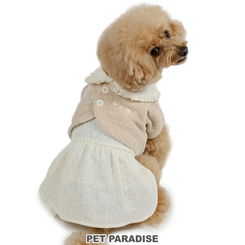 [Pet Paradise] Top <91835012>
