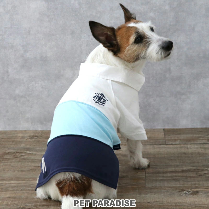 【Pet Paradise】J.Press Skipper Polo Shirt - Tricolour <614-55857>