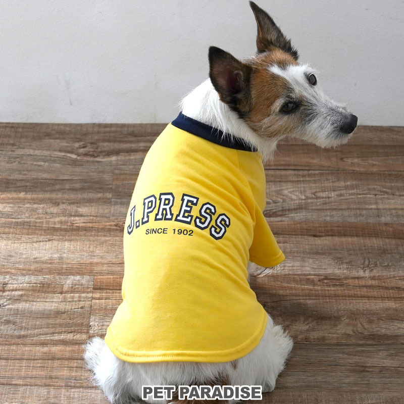【Pet Paradise】J.Press College T-Shirt <614-55852>