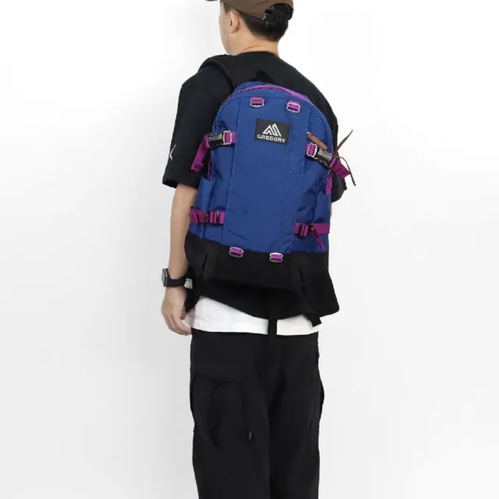 Gregory 22L ALL DAY V2.1 後背包 GG131365