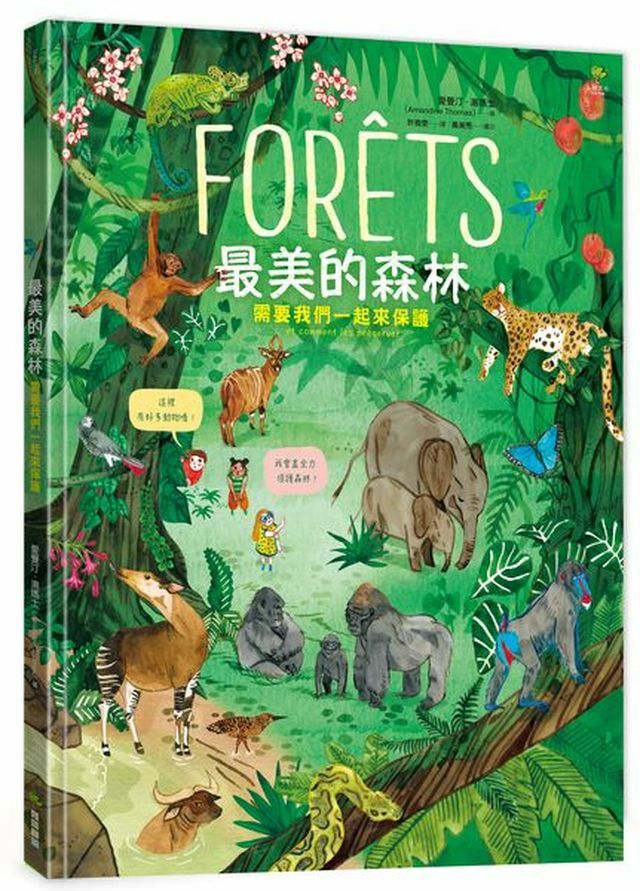 最美的森林