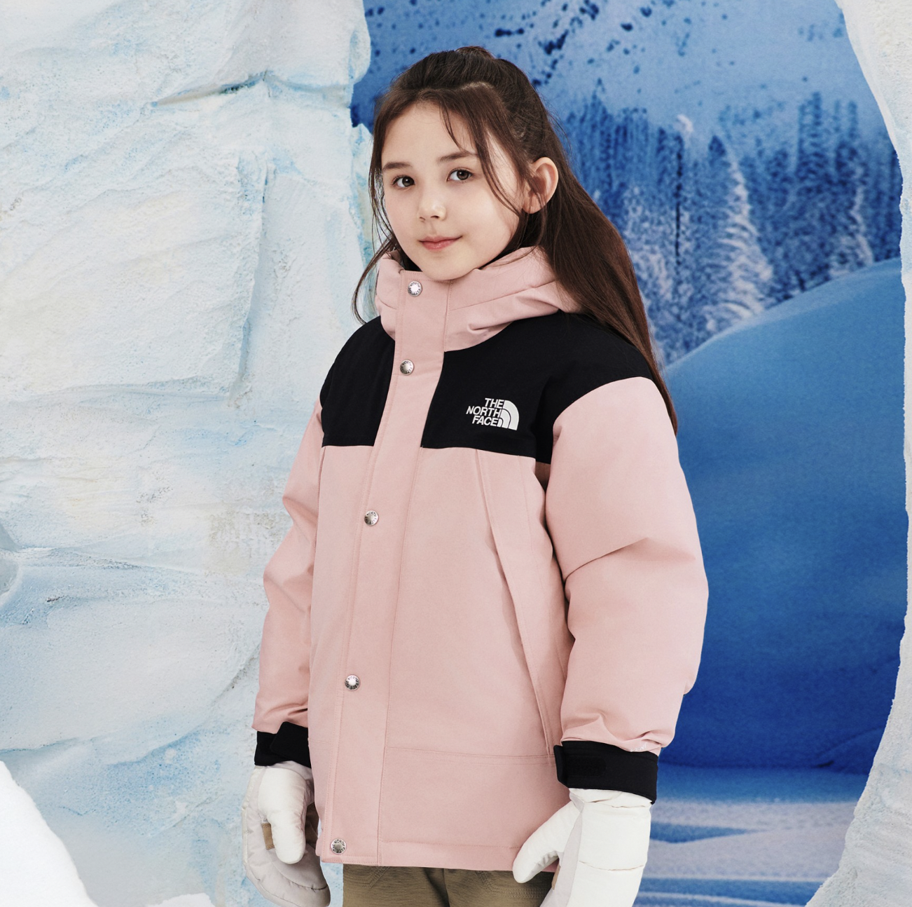 the north face viran jaket 韓国　入手困難　極美品 楽天市場】☆配送無料☆ [THE NORTH FACE] NJ3BQ54 VILAN JACKET