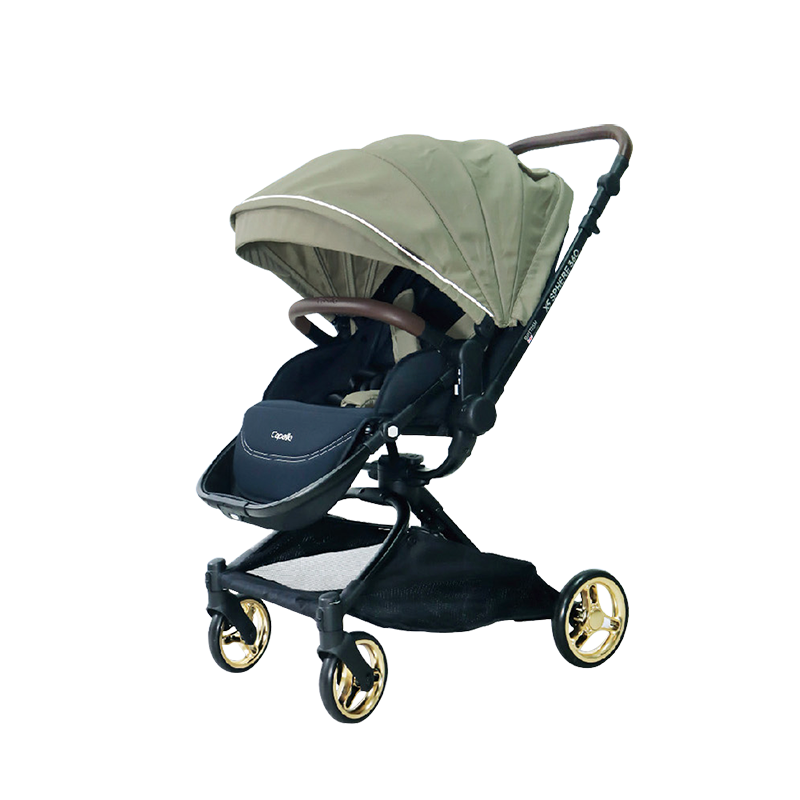 Capella X5旋轉雙向推車