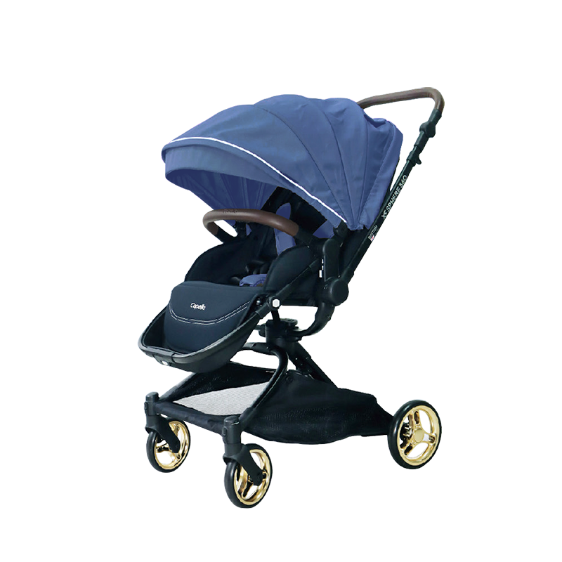 Capella X5旋轉雙向推車