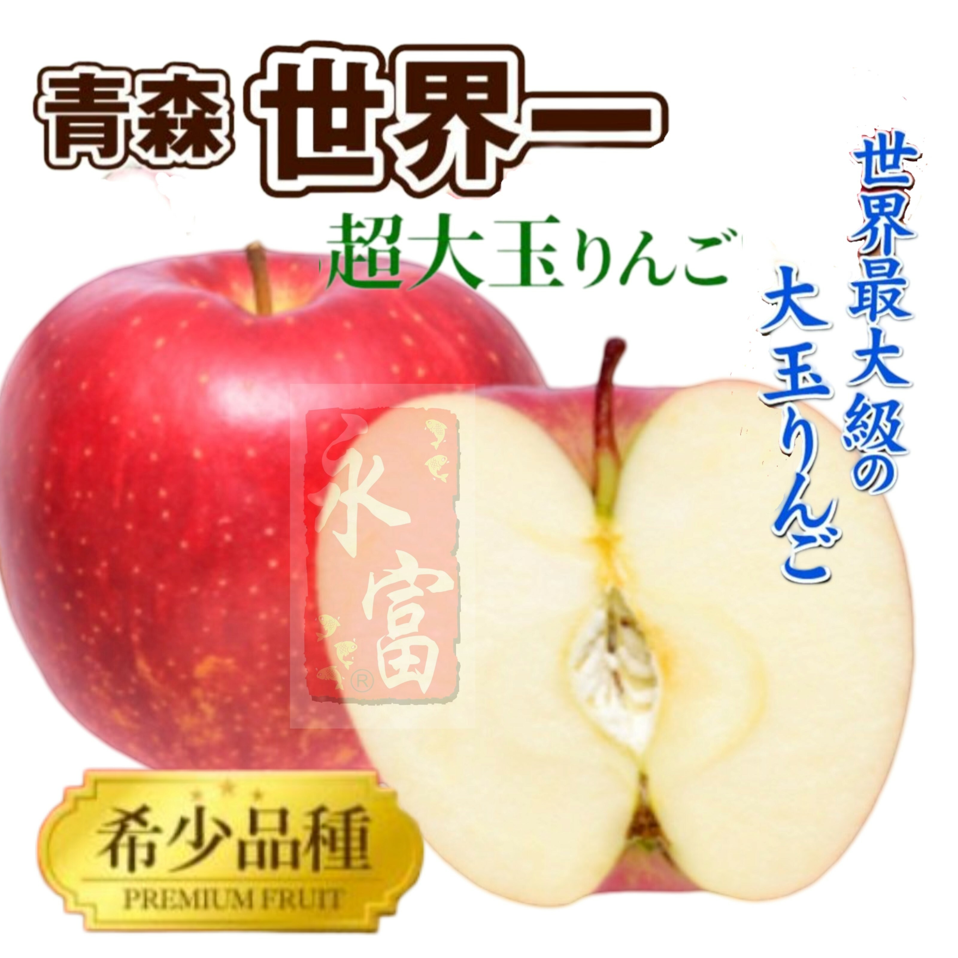 日本青森縣世界一蘋果