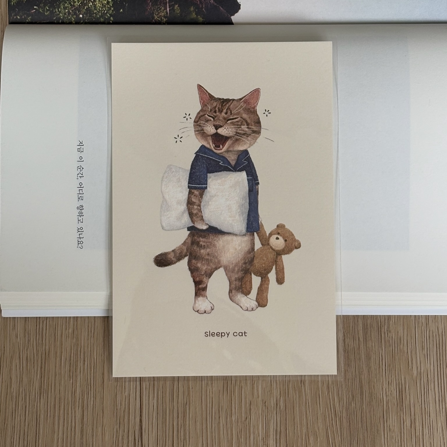 明信片┃我愛睏了