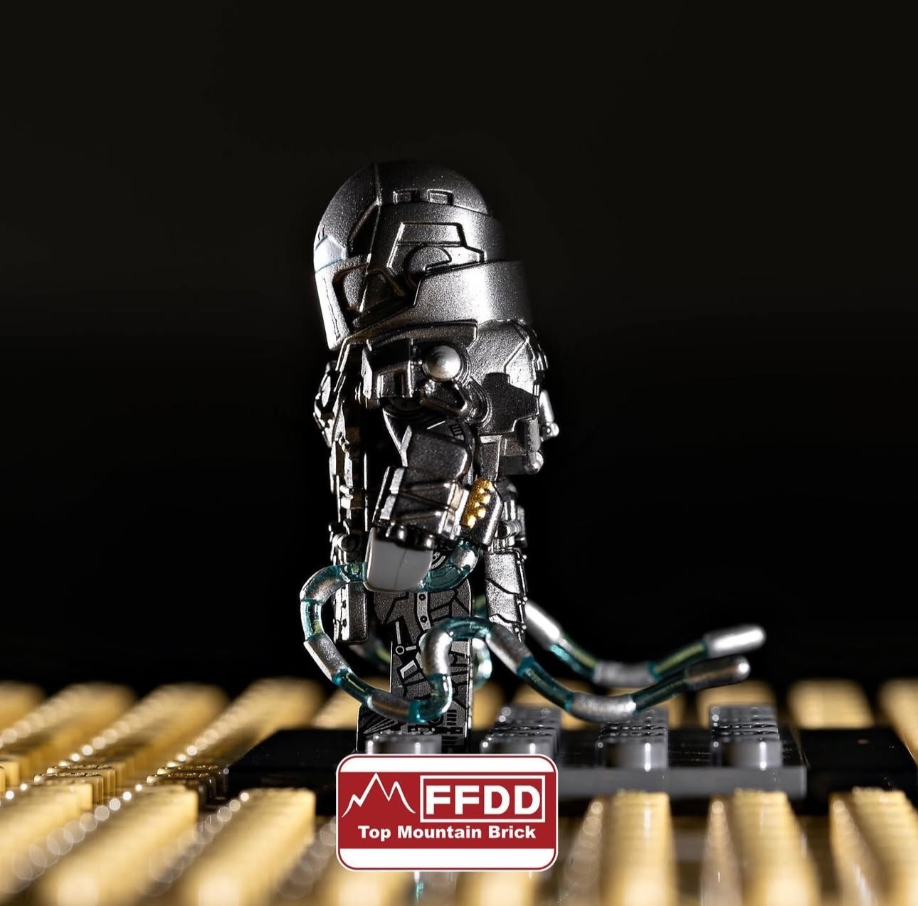 【Top Mountain】鞭狂