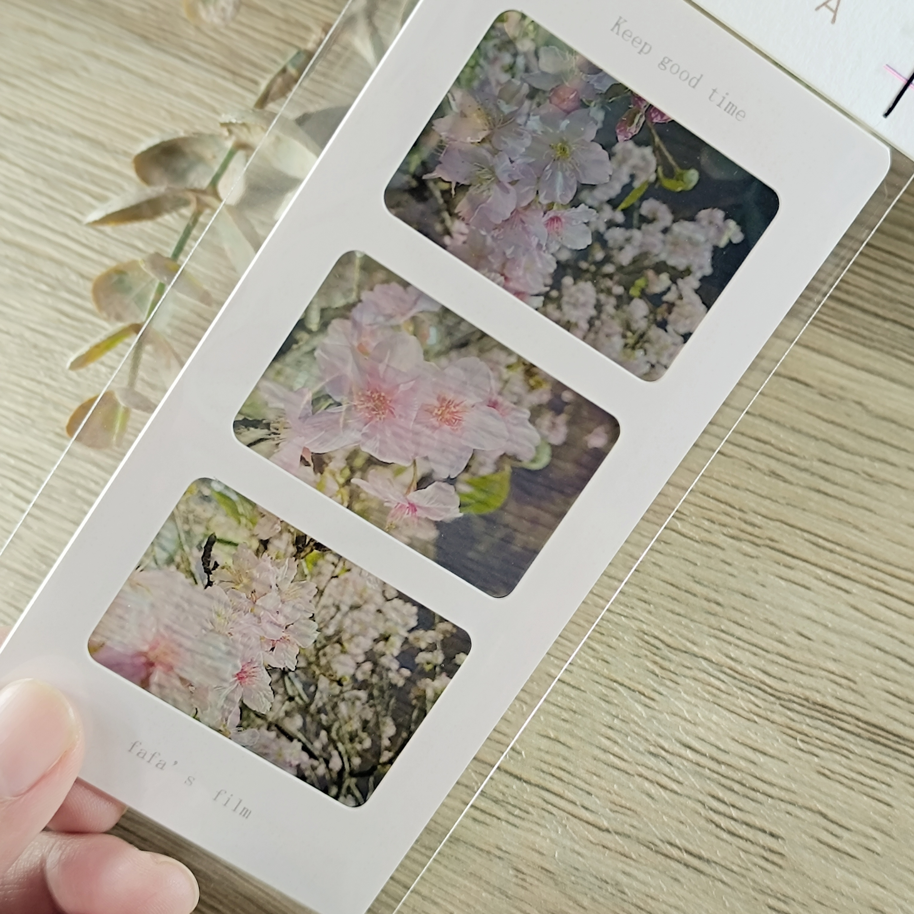 fafa製造所．散步看櫻花 幻燈片書籤 SANSAKU散策/SAKULA櫻花