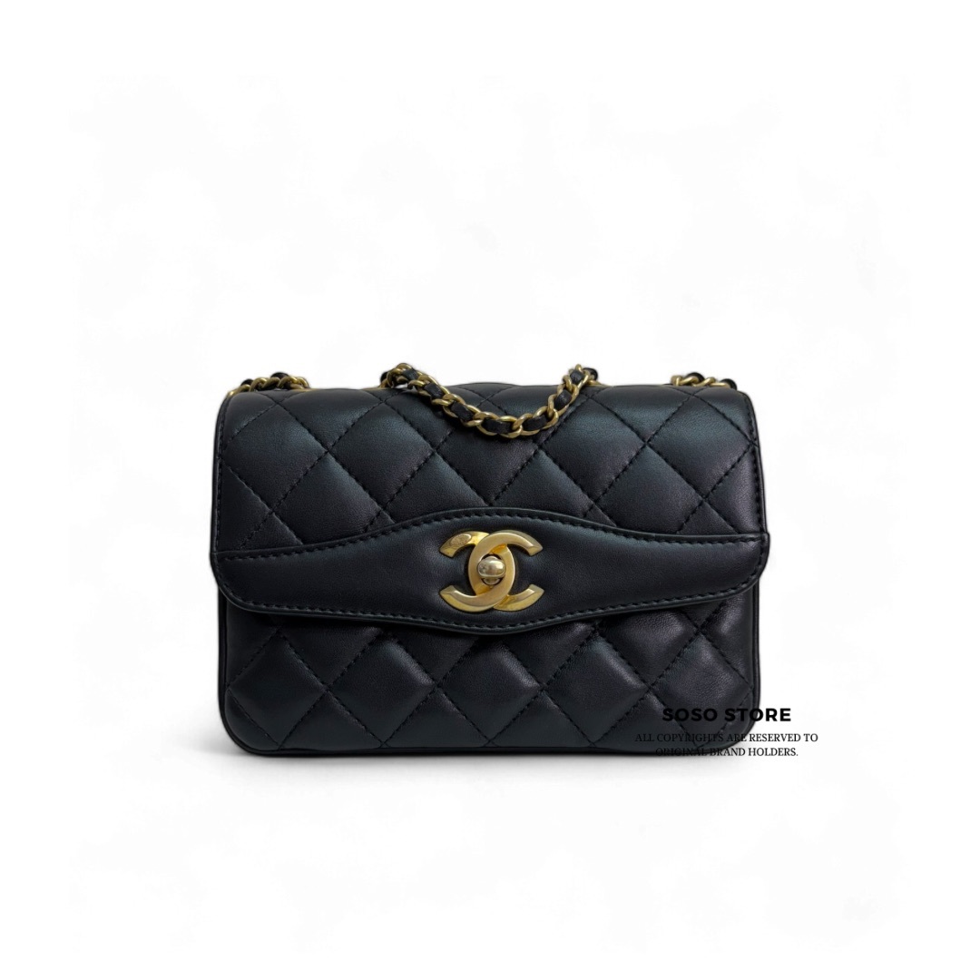 Chanel Seasonal Flap Bag - Black / Ghw