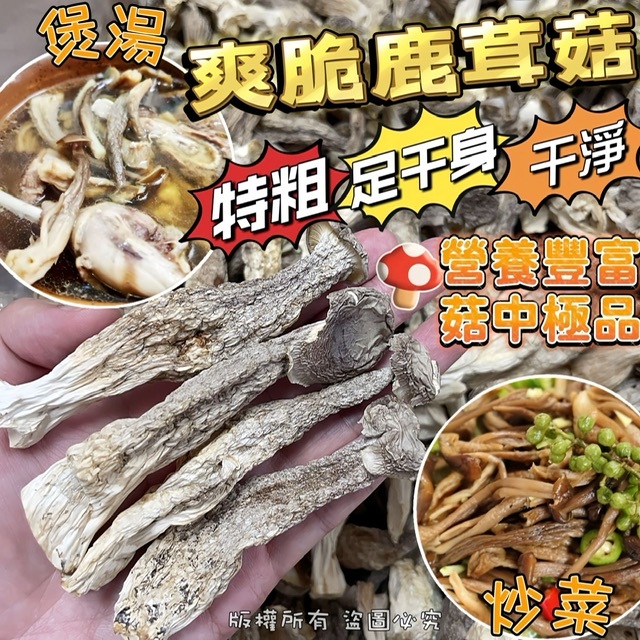 A級乾淨特粗爽脆鹿茸菇 -2101570