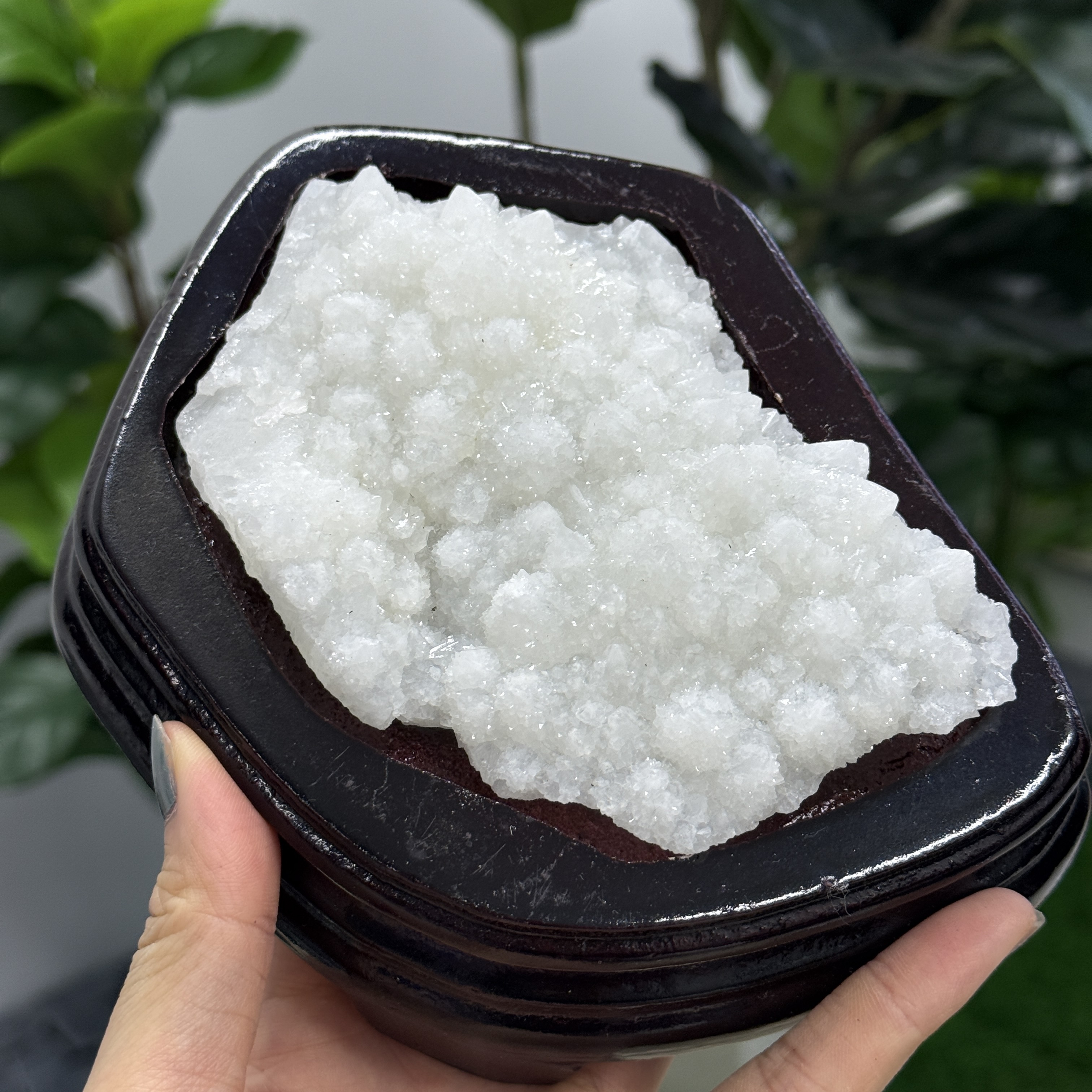 白晶簇 269g WD1906