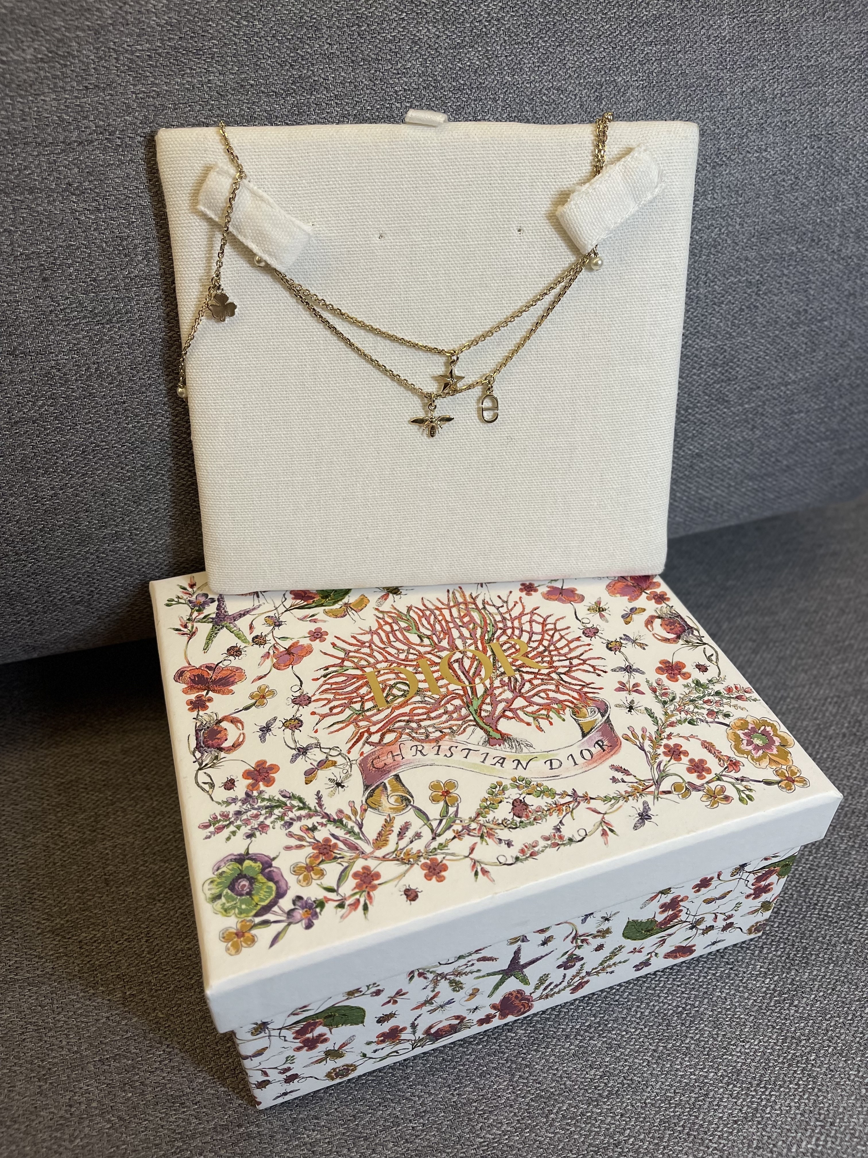 Dior Double Necklace