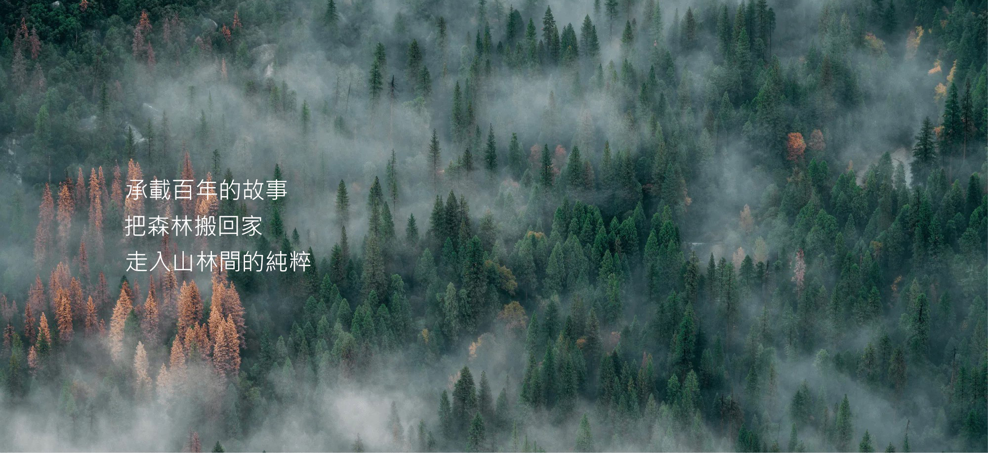 有木原木室內設計