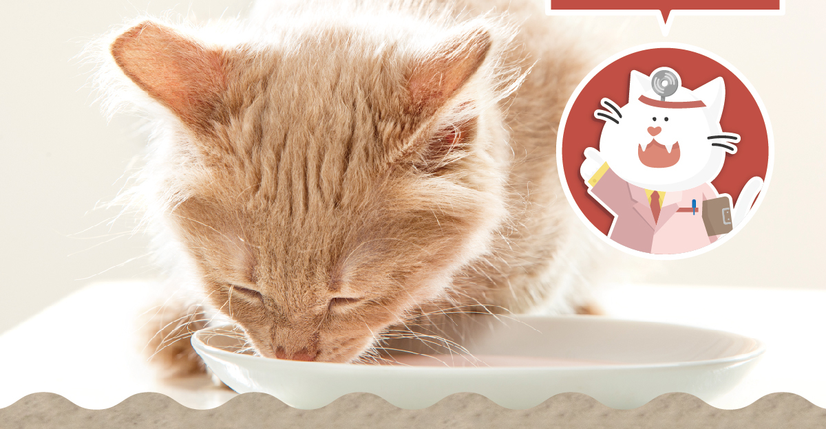 台灣【陪心寵糧】優腎罐 80g