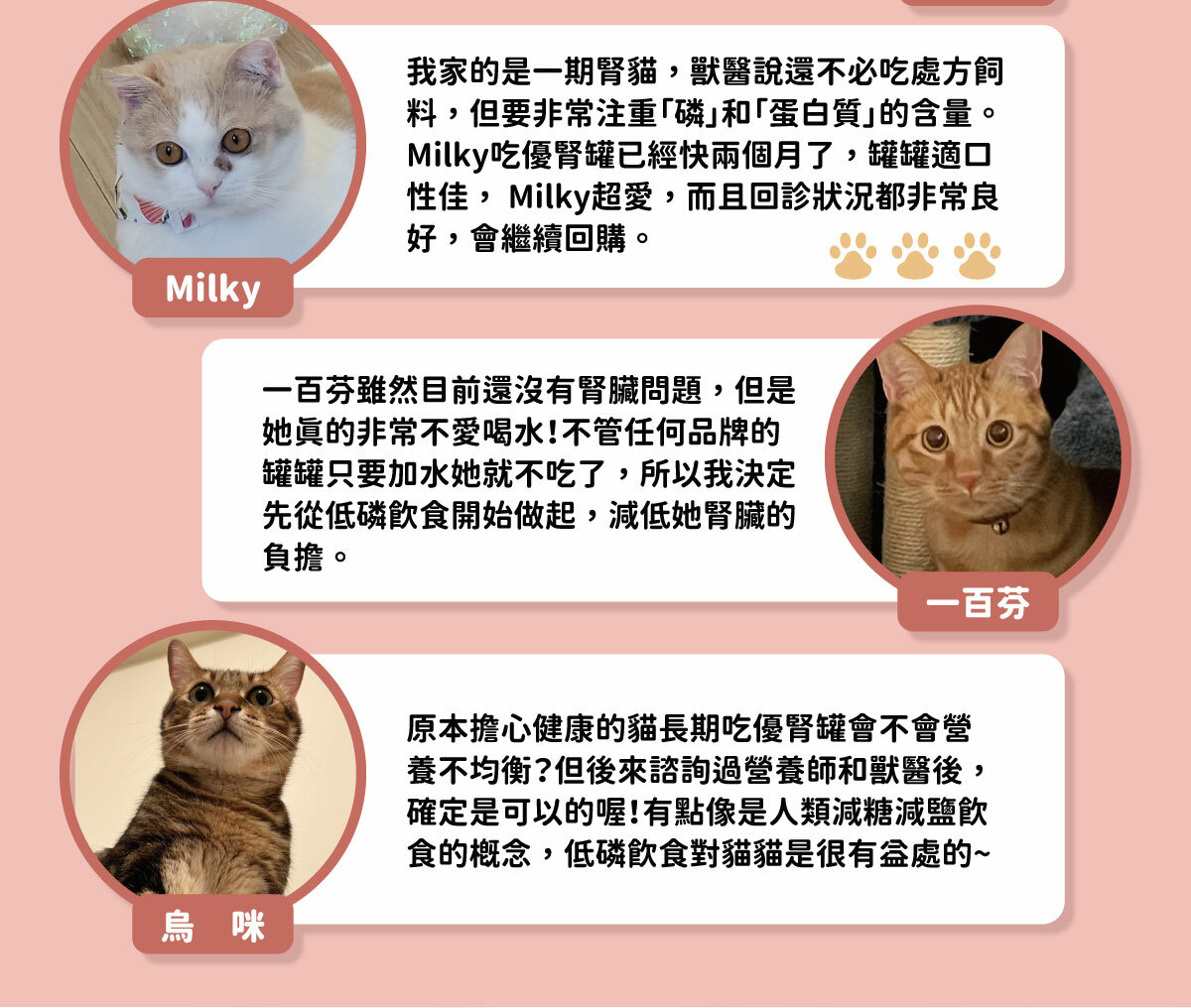 台灣【陪心寵糧】優腎罐 80g