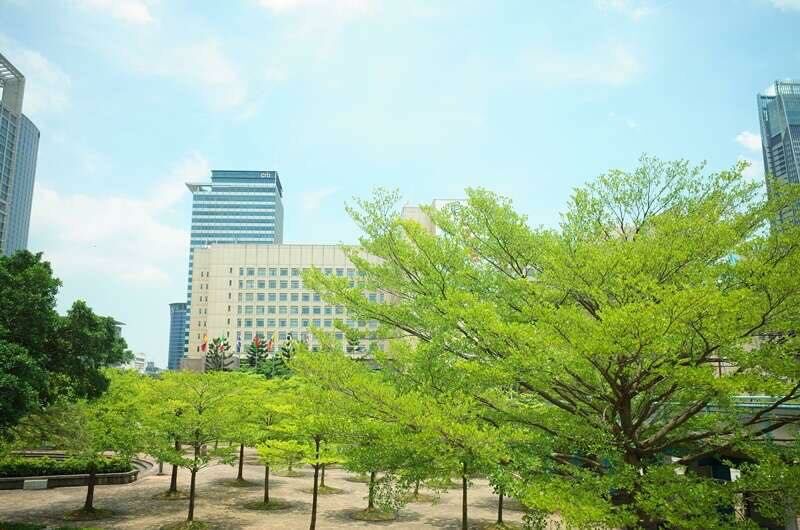 【專屬訂單 FB -Ma*ine Pe*g】REWOOD小葉欖仁 x 棒球椅