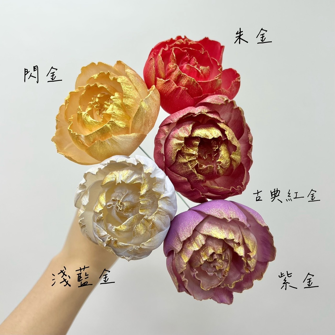 泰國索拉花 大花牡丹 6CM  <十支一把>  (高品質)