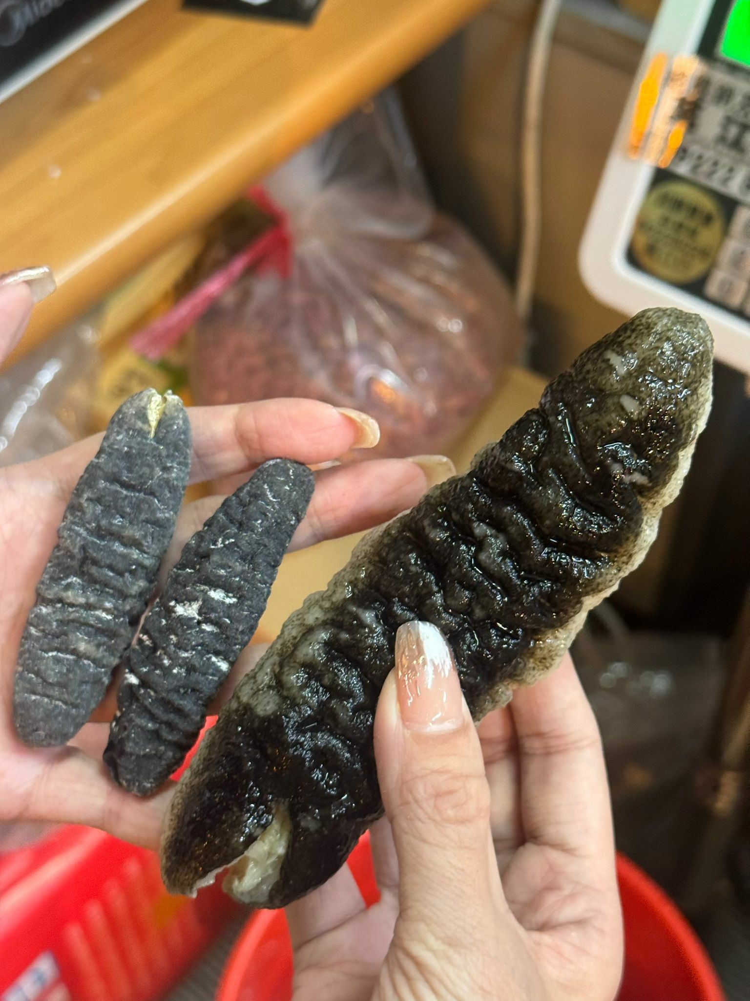 (1835)澳洲禿參200g