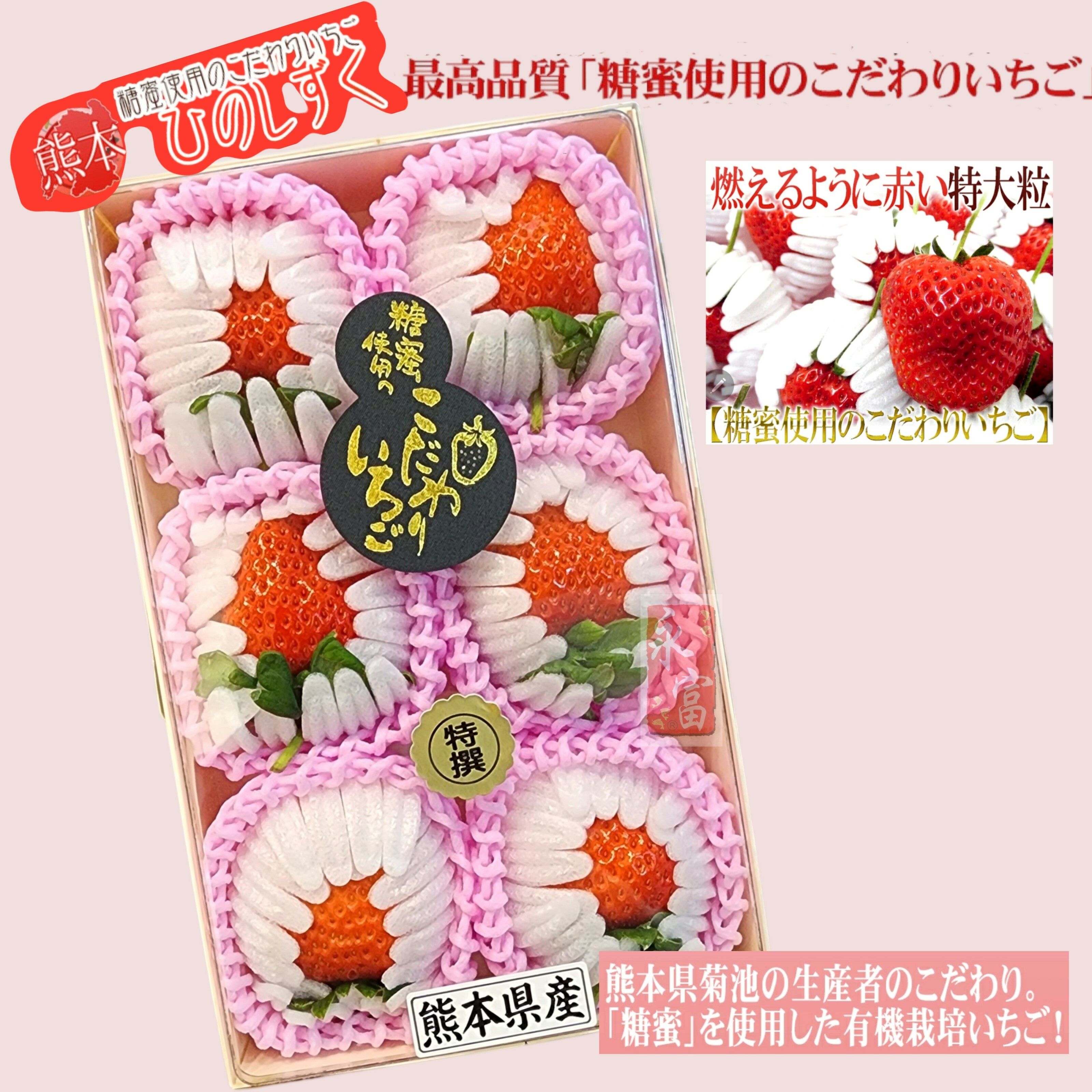 日本熊本縣士多啤梨-菊池