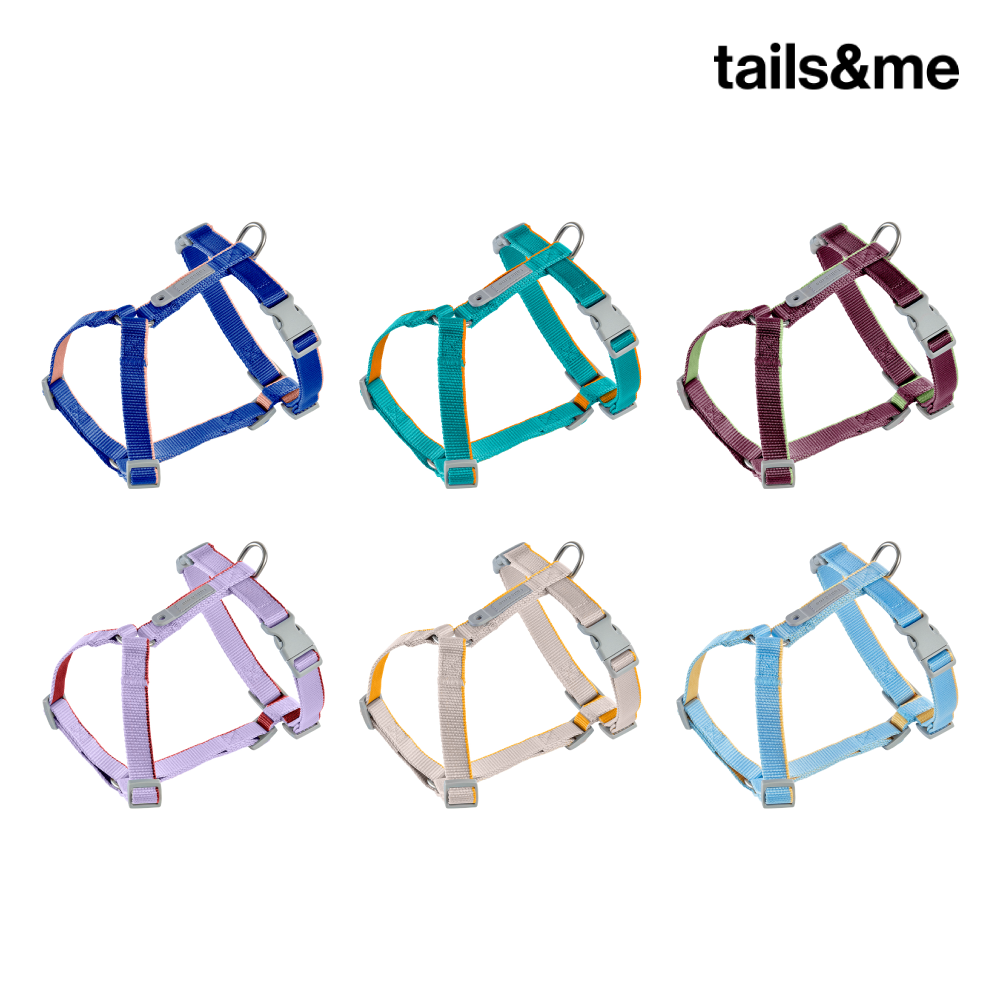 尾巴與我 TAILS&ME | 新經典 犬H型胸背帶 (雙色)