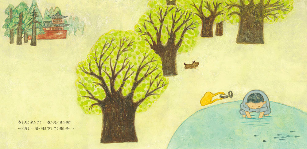 信誼上誼繪本-安的種子