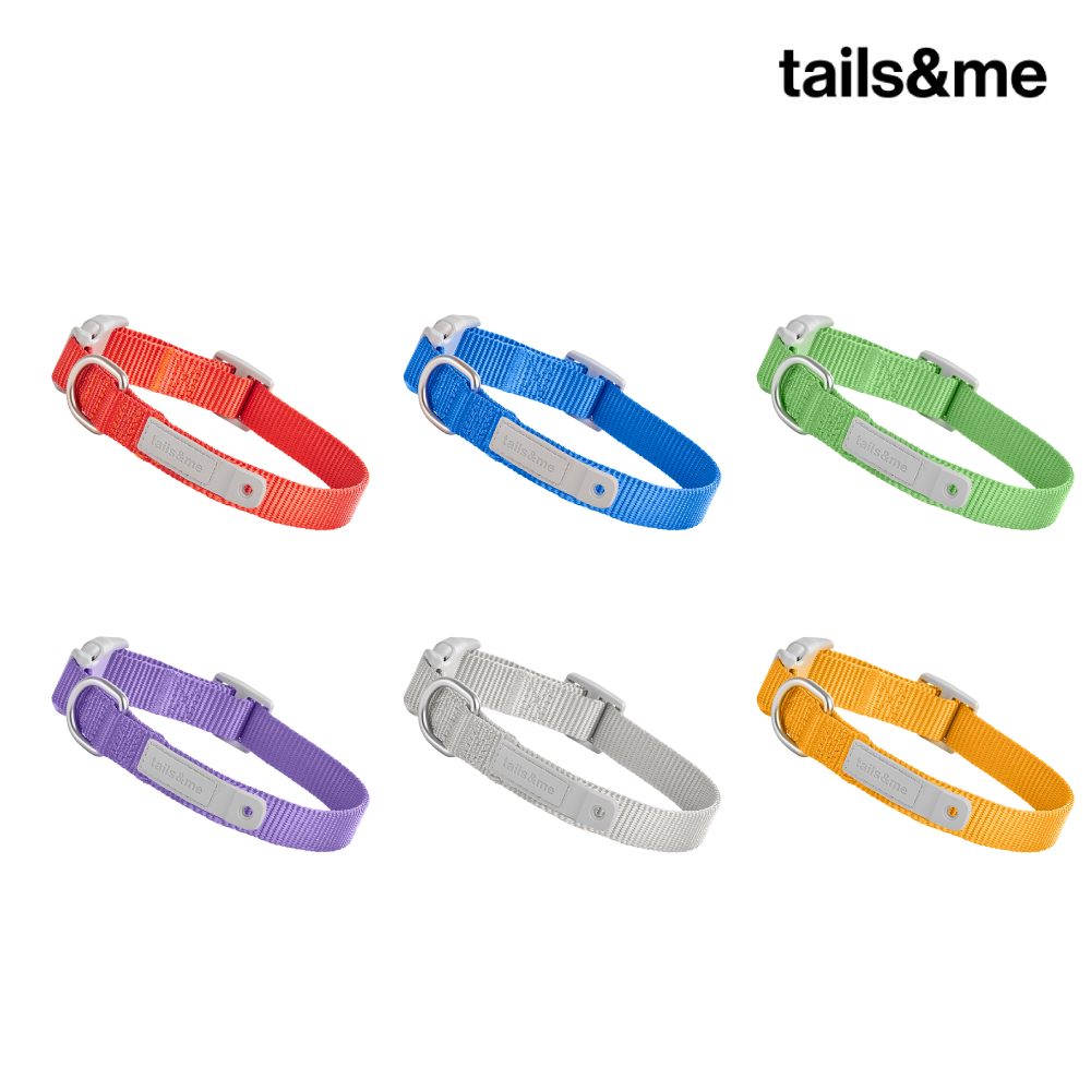 尾巴與我 TAILS&ME | 新經典 狗項圈 (單色)