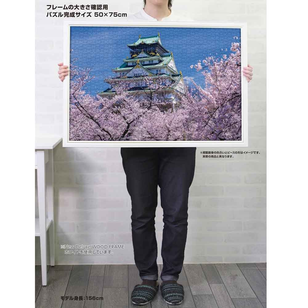 盛開的大阪城（大阪）