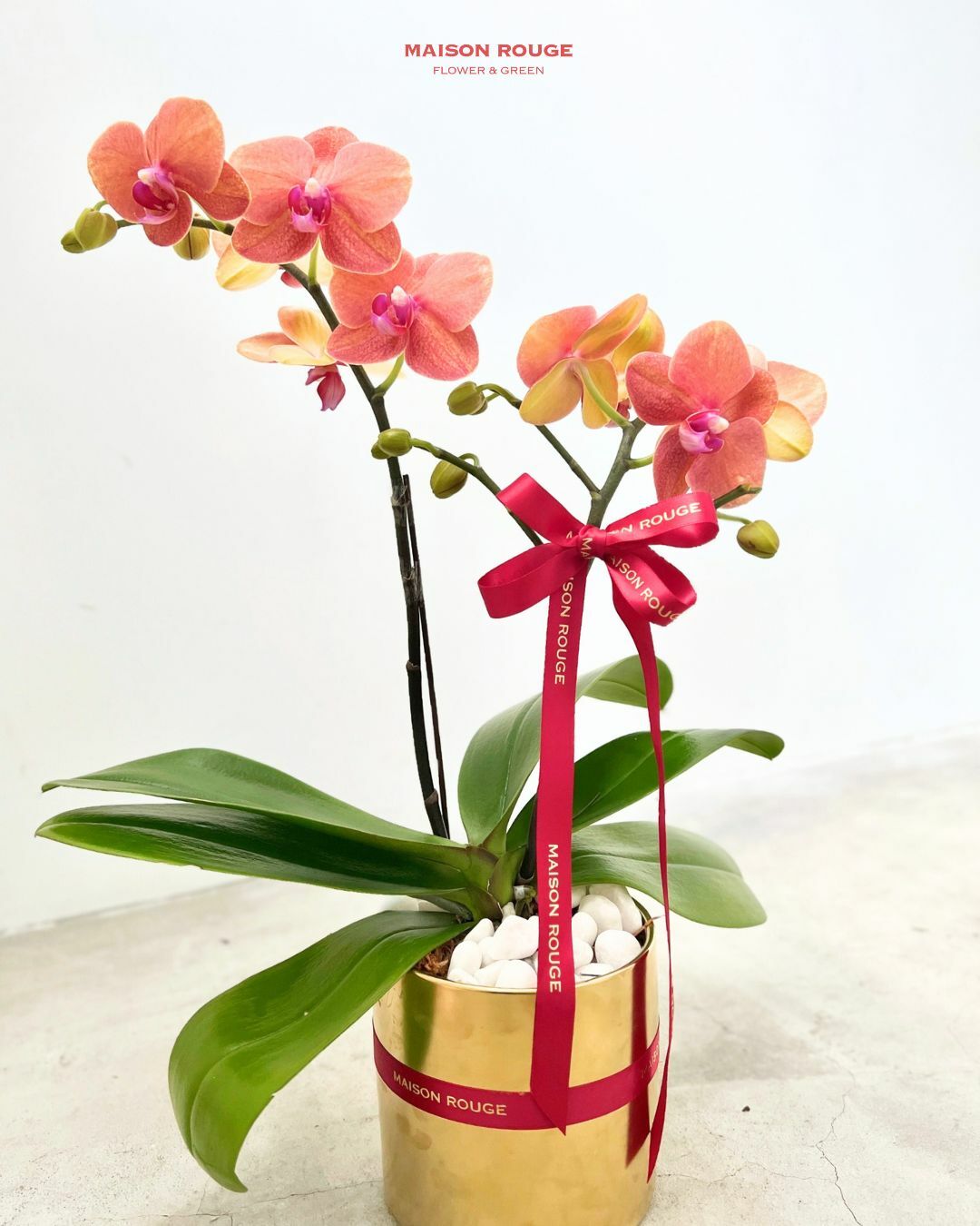 貳樓有花・蘭花花禮・粉橘