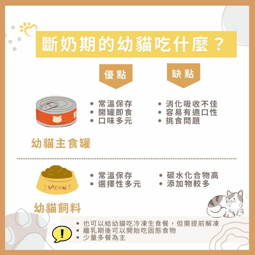 幼貓斷奶期照顧照護指南及幼貓照顧照護產品推薦