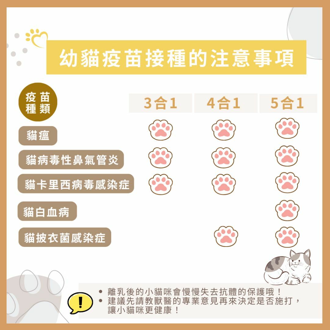 幼貓接種注射疫苗的注意事項及疫苗種類