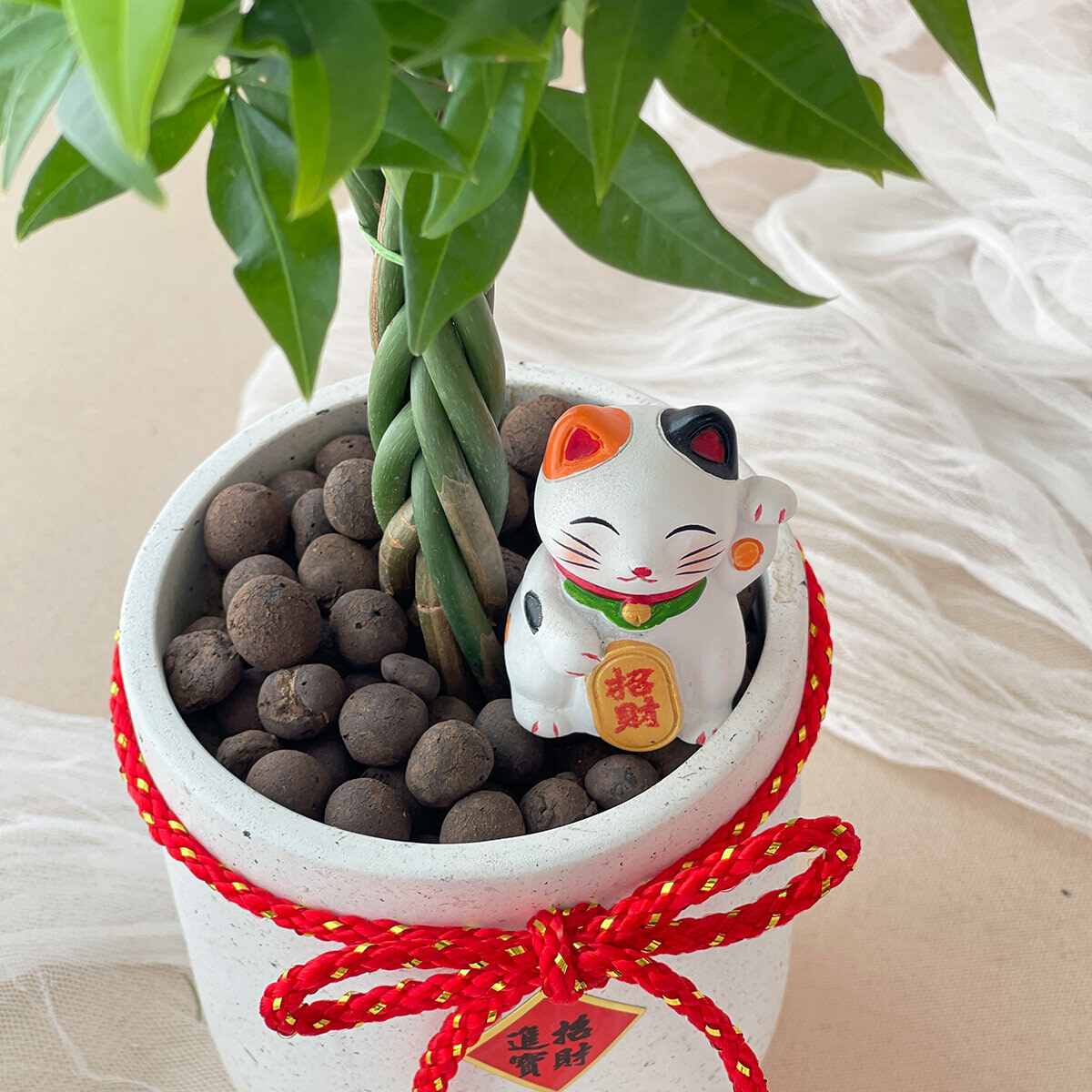 PD67｜發財樹水泥盆栽｜新年賀禮/春節佈置