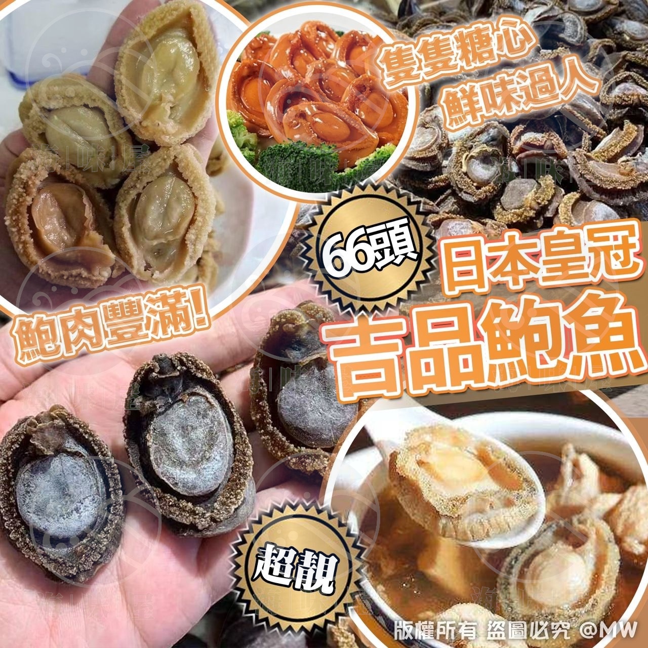 66頭日本皇冠吉品鮑魚 100g (約10-11隻）