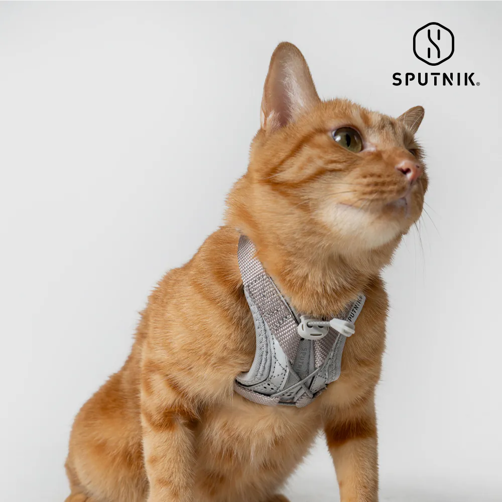 SPUTNIK 斯普尼克 | Ultra Explore 終極胸背帶