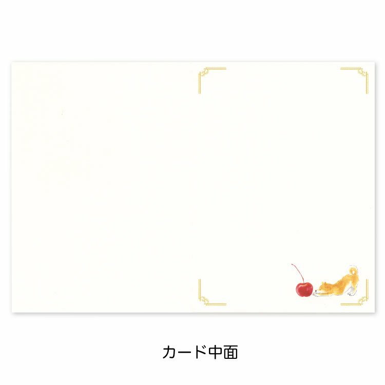 布丁 柴犬甜點系列 生日卡片｜日本ACTIVE CORPORATION